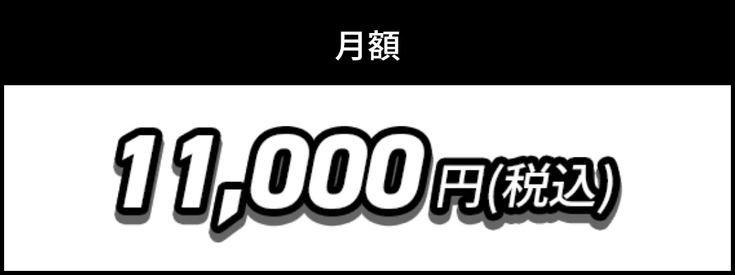 月額11,000<span>円(税込み)